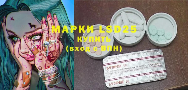 ECSTASY Липки