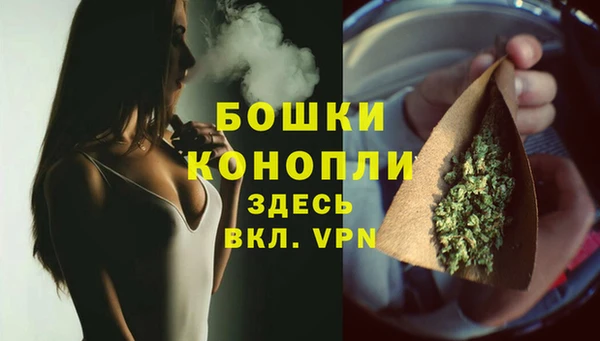 ПСИЛОЦИБИНОВЫЕ ГРИБЫ Лиски