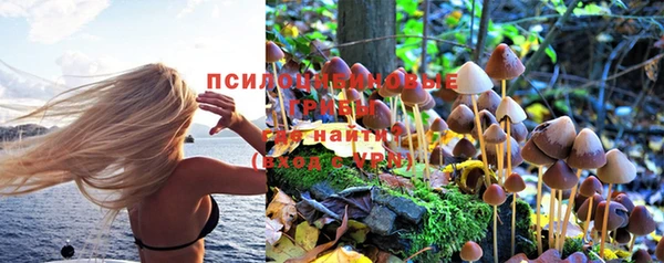 винт Майский