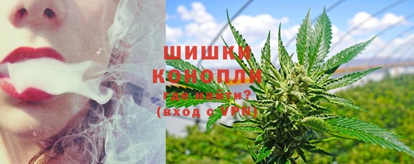 ПСИЛОЦИБИНОВЫЕ ГРИБЫ Лиски