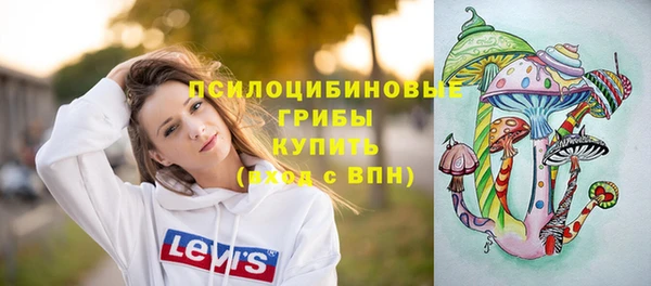 ECSTASY Липки