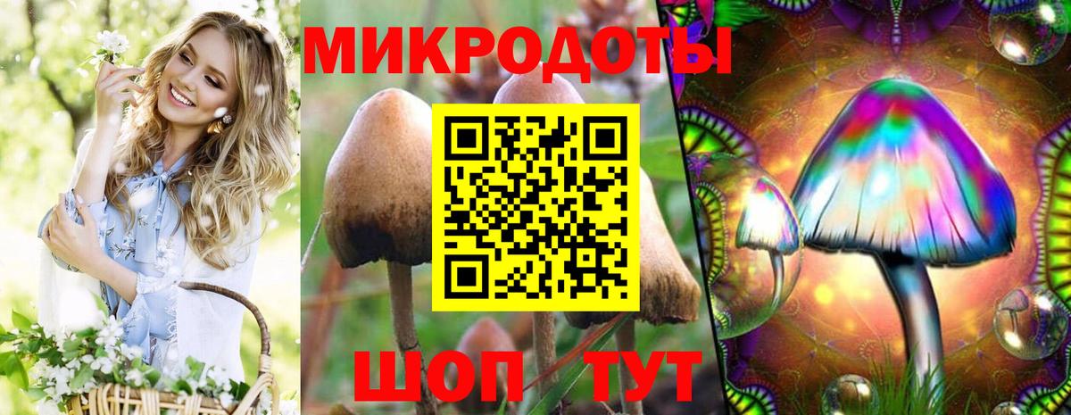 Галлюциногенные грибы мухоморы Маркс