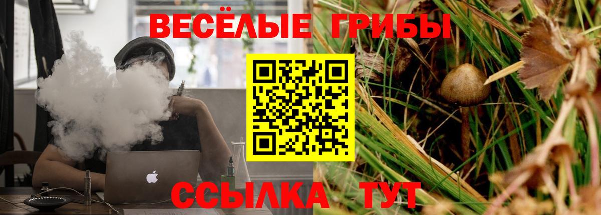 Галлюциногенные грибы Magic Shrooms  Маркс  Галлюциногенные грибы прущие грибы 