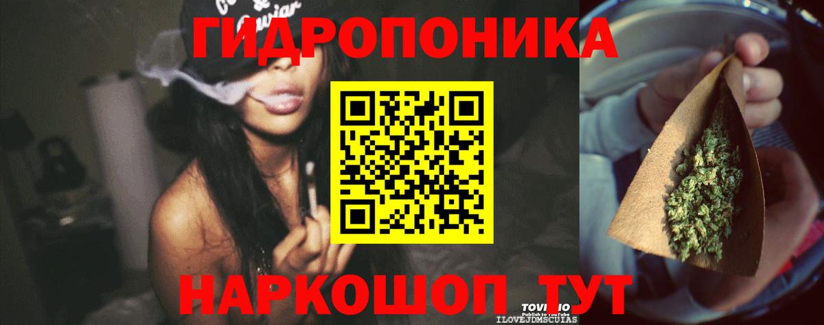 Маркс  Бошки марихуана семена  Канабис план  Вход с VPN  Марихуана индика 